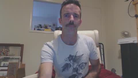 Dombol online show from November 12, 11:43 am