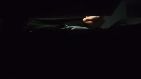 domcook147 online show from January 4, 12:05 am