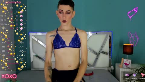Dominic online show from December 11, 3:05 pm