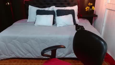 Snapshot of domink_gilr chatting on February 24, 3:23 am D O M I N K online show from February 24, 3:23 am