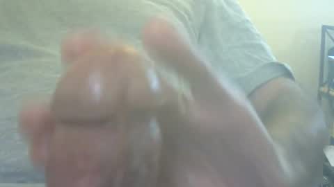 don_quixote3 online show from July 2, 8:04 pm