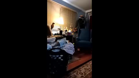 Snapshot of doobie1717 chatting on March 24, 2:49 am doobie1717 online show from March 24, 2:49 am