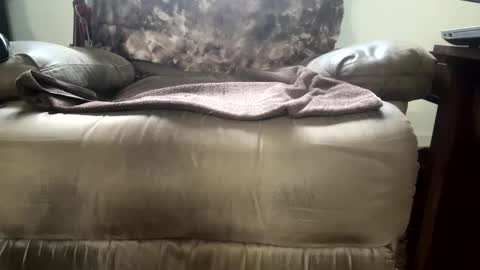 dotcom0062 online show from November 15, 6:26 pm