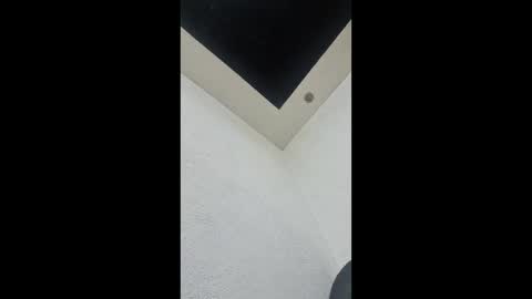 Snapshot of dots66289308004 chatting on March 28, 12:10 am dots66289308004 online show from March 28, 12:10 am