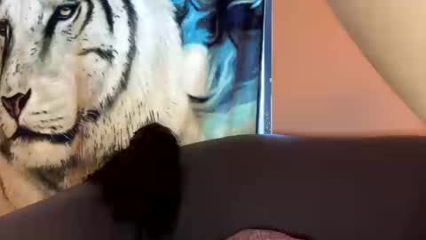 dove_love22 online show from October 17, 9:06 pm