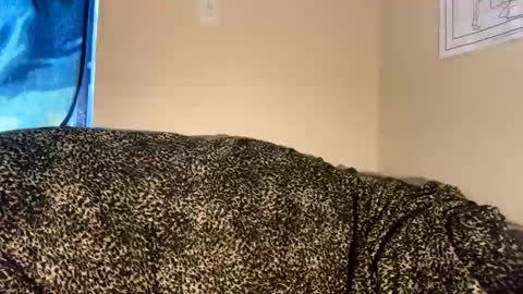 dove_love22 online show from November 30, 9:19 pm