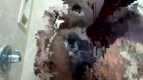 MrPirated online show from January 18, 1:59 pm