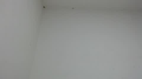 Snapshot of drako_monstercock chatting on January 17, 10:46 pm drako_monstercock online show from January 17, 10:46 pm