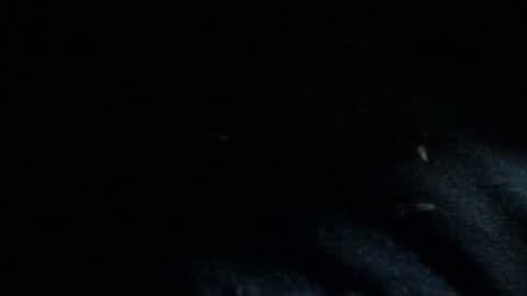 Snapshot of dreadedted chatting on November 24, 8:14 am Dreadedted online show from November 24, 8:14 am