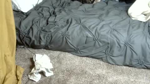 Snapshot of dreadedted chatting on February 13, 4:58 pm Dreadedted online show from February 13, 4:58 pm