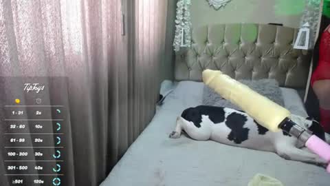 Snapshot of dreams_sophi chatting on July 1, 7:35 pm Sophia online show from July 1, 7:35 pm