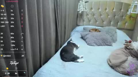 Snapshot of dreams_sophi chatting on July 10, 11:40 pm Sophia online show from July 10, 11:40 pm
