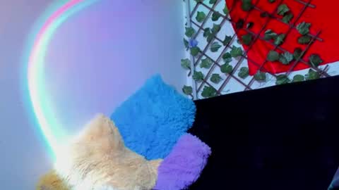 Dreyk online show from July 26, 9:32 pm