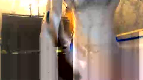 drippydickboy online show from January 13, 6:02 pm