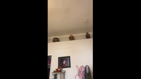 Drippy kitty  online show from March 15, 9:54 pm