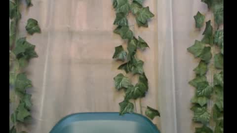 linda online show from September 28, 11:04 am