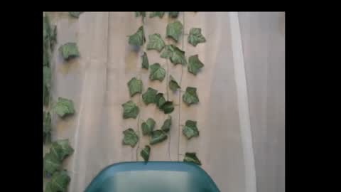 linda online show from October 8, 11:57 pm