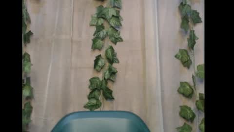 linda online show from November 8, 1:06 am