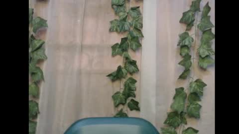 linda online show from November 16, 12:55 pm