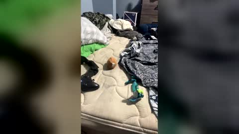 Snapshot of dryydennn chatting on April 3, 1:14 am sissyginger online show from April 3, 1:14 am