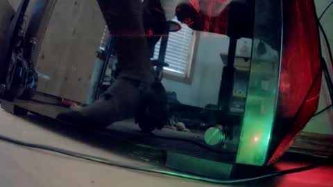 dsjwtw87 online show from February 9, 6:01 pm