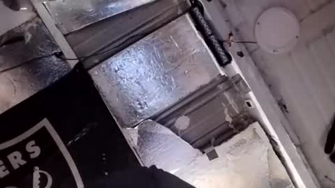 Snapshot of dsmock chatting on February 15, 10:58 am dsmock online show from February 15, 10:58 am