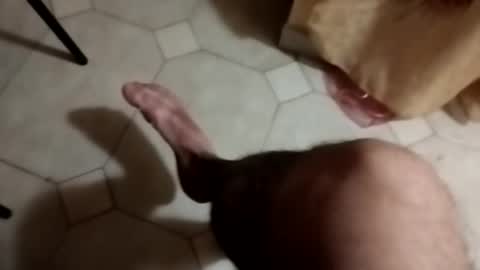 dthedog12 online show from September 22, 9:28 pm