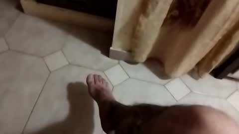 dthedog12 online show from September 23, 9:51 pm