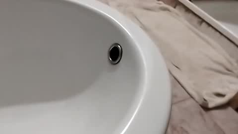 dthedog12 online show from November 1, 10:12 pm