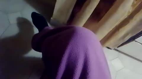 dthedog12 online show from February 10, 9:41 pm