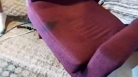 Snapshot of dtrain6969420 chatting on March 7, 2:46 am dtrain6969420 online show from March 7, 2:46 am