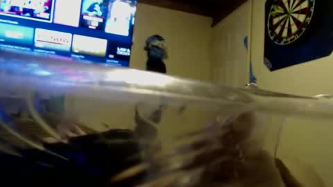 Snapshot of dtrain6969420 chatting on September 25, 2:04 am dtrain6969420 online show from September 25, 2:04 am