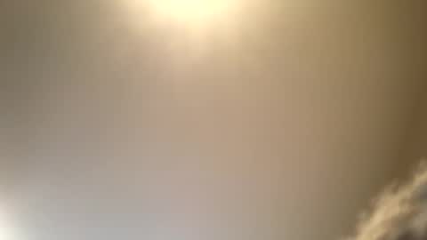 ducebabydee online show from September 16, 6:20 pm