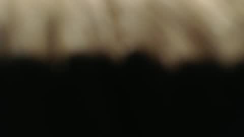 Snapshot of ductorfeelgood chatting on March 1, 7:15 pm swiss kiss online show from March 1, 7:15 pm