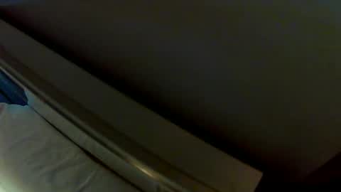 dudeniceguyisback online show from December 21, 2:15 pm