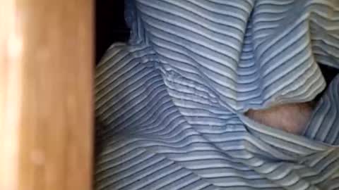 Snapshot of dvelope chatting on January 15, 9:47 am dVe1oPe online show from January 15, 9:47 am