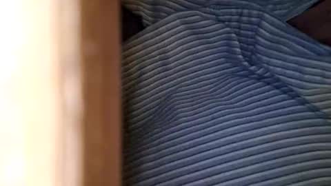 Snapshot of dvelope chatting on May 4, 9:16 am dVe1oPe online show from May 4, 9:16 am