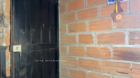 Dylangusss online show from January 15, 4:06 am