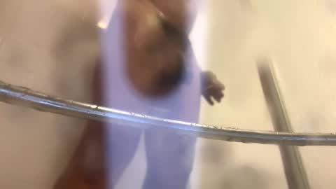 easternjerk online show from October 20, 12:00 am