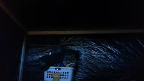 Snapshot of ebear1 chatting on February 27, 9:36 pm ebear1 online show from February 27, 9:36 pm