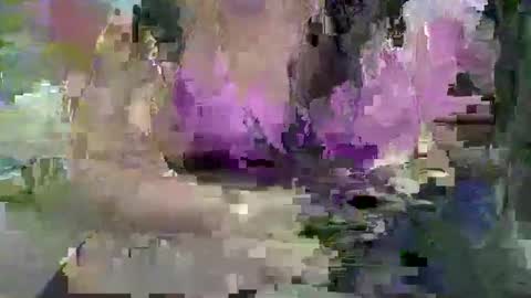 ebonybigtitqueen3 online show from November 4, 1:48 am