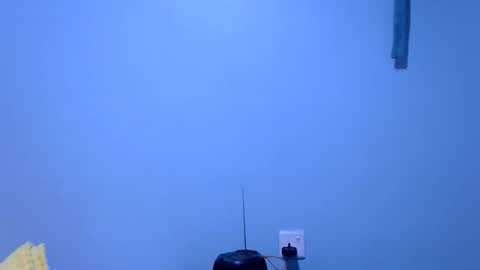 ebonybloom01 online show from November 26, 5:36 pm