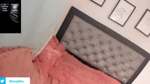 Snapshot of ebonyskinn chatting on February 12, 9:11 pm ebonyskinn online show from February 12, 9:11 pm