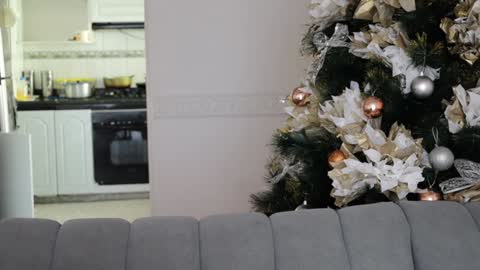 Edecio Cardenas online show from December 9, 7:50 pm