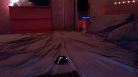 Steven online show from December 17, 2:17 am