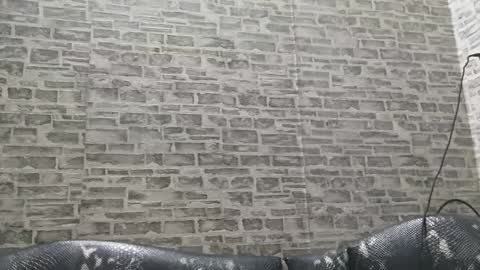 edithmanning online show from January 15, 3:33 am