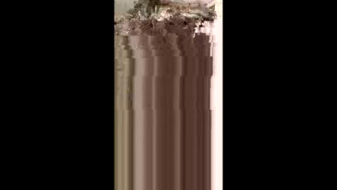 Snapshot of eduardoponcedeleon87 chatting on February 15, 2:41 am eduardoponcedeleon87 online show from February 15, 2:41 am