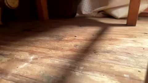 Snapshot of ehproject chatting on November 1, 8:27 am ehproject online show from November 1, 8:27 am