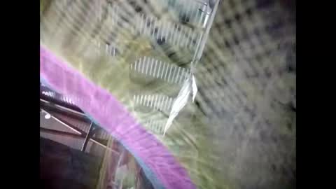 eirma7991 online show from February 25, 10:30 pm