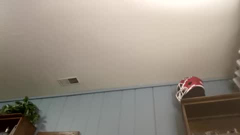 Snapshot of ejbooker11 chatting on April 5, 11:18 am PiedPiper online show from April 5, 11:18 am